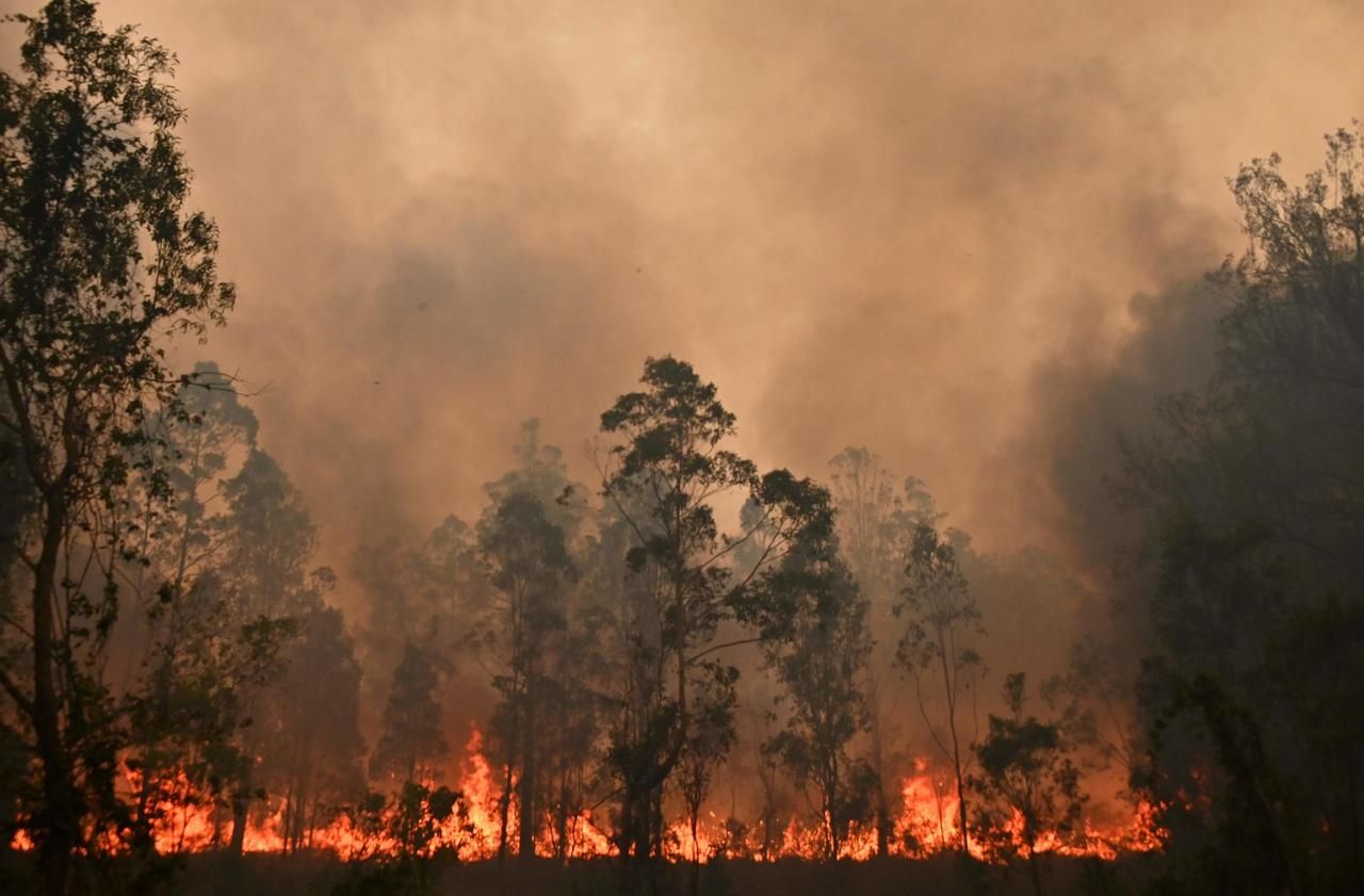 Feux de forêt : la terre brûle un peu moins