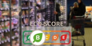 Un nouveau logo «éco-score» pour mesurer l'impact environnemental d’un produit