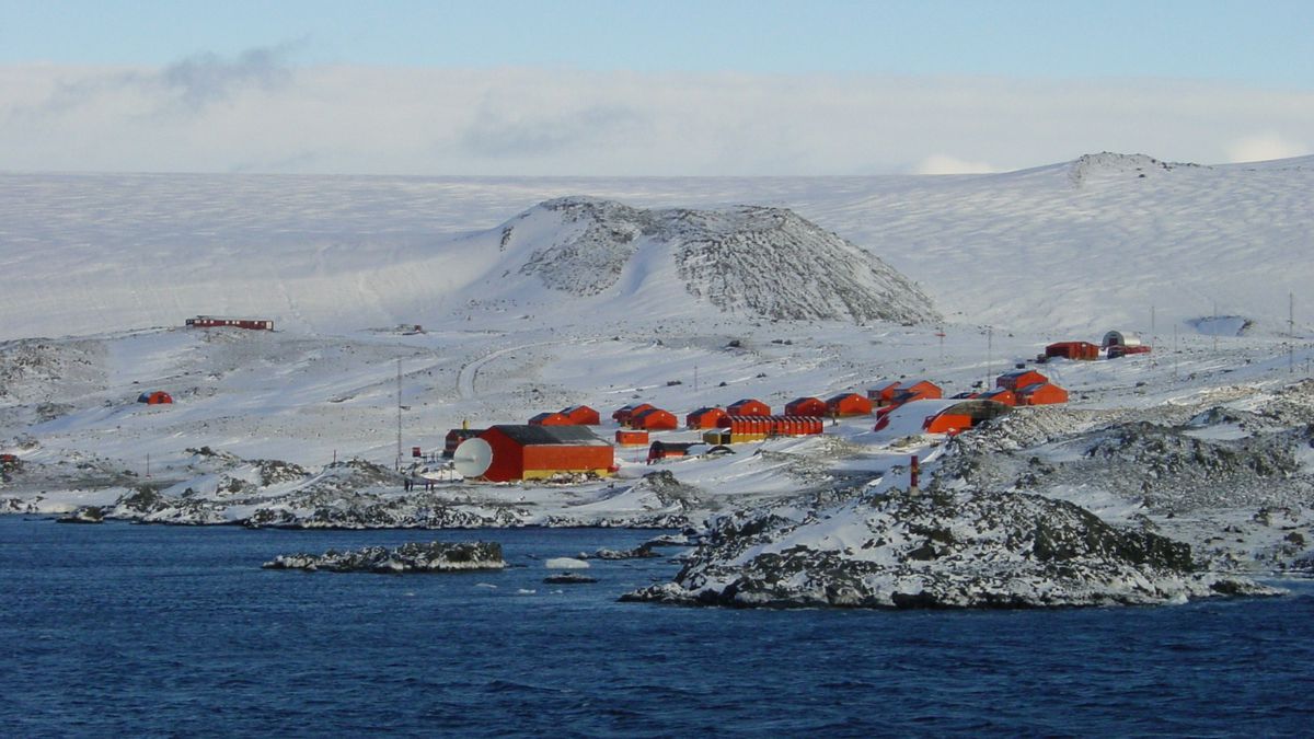 Climat : l’Antarctique a enregistré un record de chaleur de 18,3 degrés Celsius en février 2020