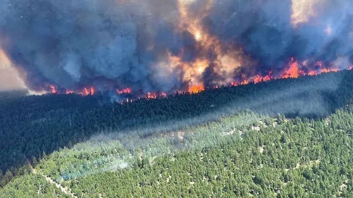 Les incendies de chaleur se multiplient au Canada et aux Etats-Unis, un village canadien consumé