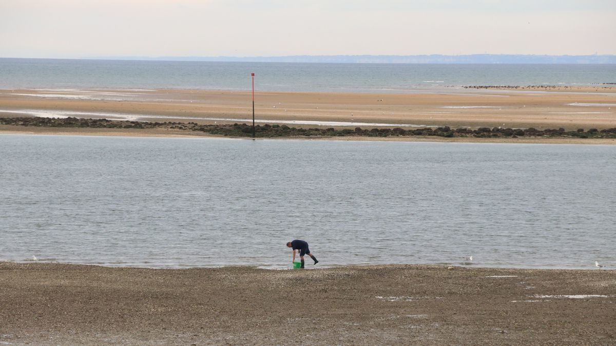 Avec le mauvais temps, les bactéries attaquent les plages normandes