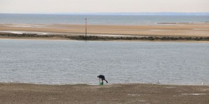 Avec le mauvais temps, les bactéries attaquent les plages normandes
