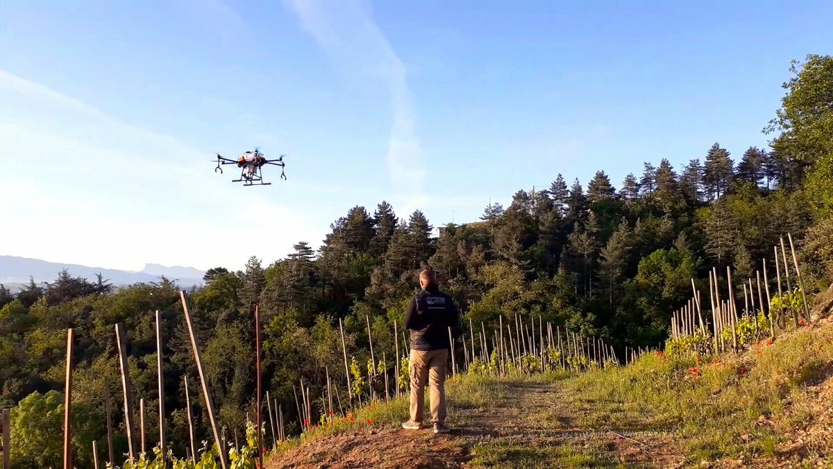 En Ardèche, des drones pour traiter les vignes difficilement accessibles