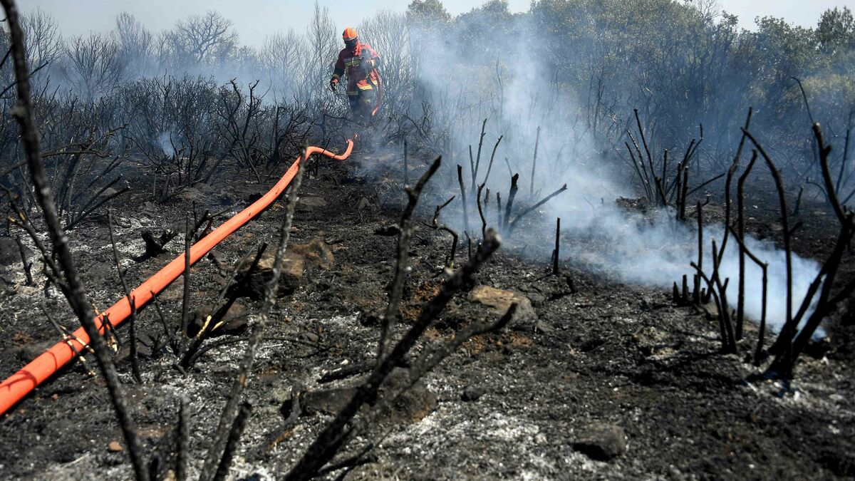 Incendie dans le Var : «Il faudra au moins dix ans pour retrouver les paysages» 