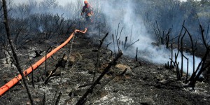 Incendie dans le Var : «Il faudra au moins dix ans pour retrouver les paysages» 