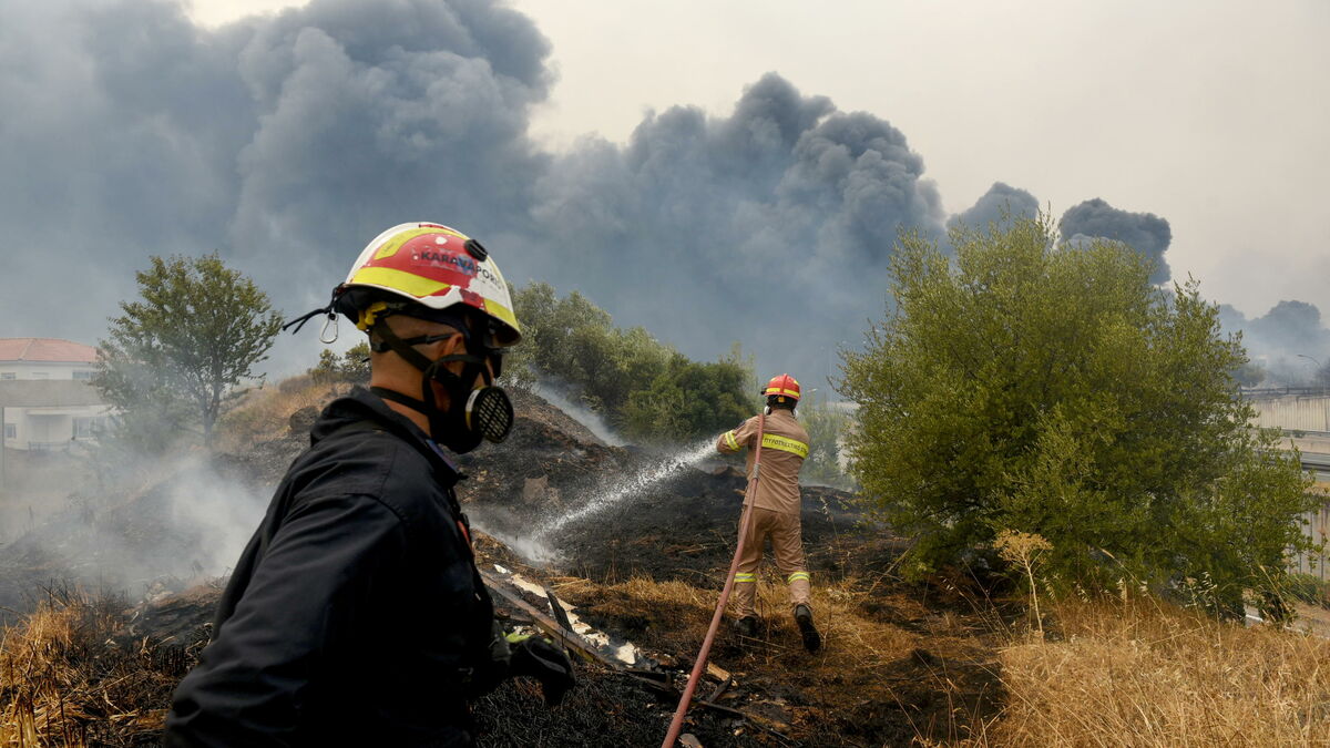 Incendies en Europe : le feu éteint en Catalogne et maîtrisé en Grèce mais la vigilance toujours de mise