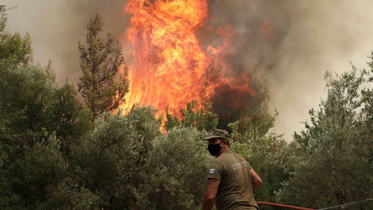 Incendies en Grèce : la France doit-elle craindre une telle catastrophe ?