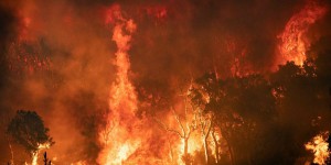Incendies : le nord du Maroc à son tour touché par d’importants feux de forêt