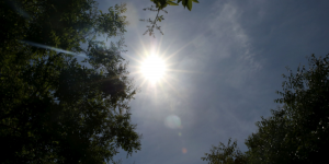 Météo : un mois de juillet exceptionnellement chaud, un record mondial en débat