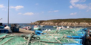 Microplastiques : en Bretagne, on teste des filets de pêche 100% biodégradables