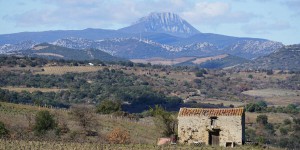 Corbières-Fenouillèdes devient le second Parc naturel régional des Pyrénées-Orientales