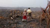La Birmanie victime de la déforestation