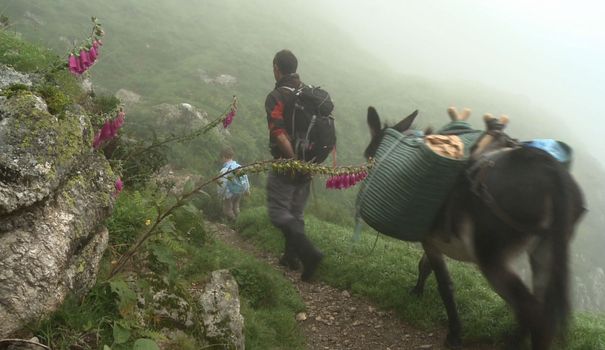 Écotourisme: le concept se développe dans les Pyrénées