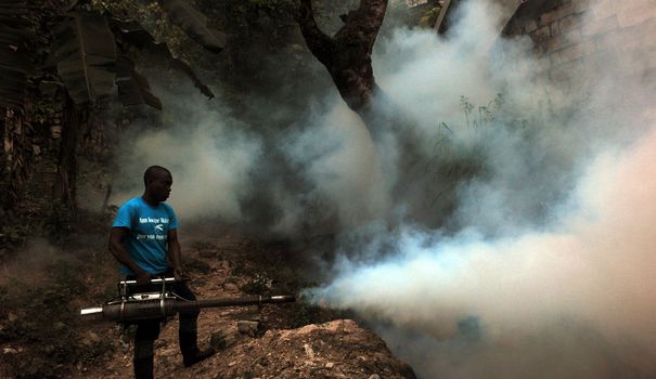 Paludisme, dengue et gastro: les effets du changement climatique sur notre santé