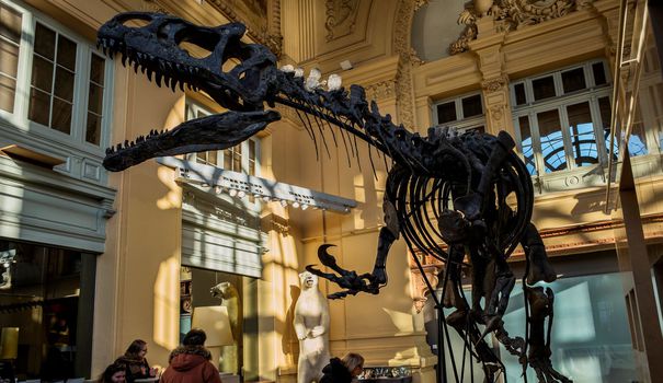 La paléontologie et la fascination pour les dinosaures