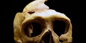 Préhistoire: découverte d'un descendant de deux espèces humaines différentes