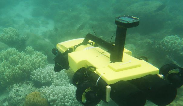Un drone sous-marin pour sauver le corail