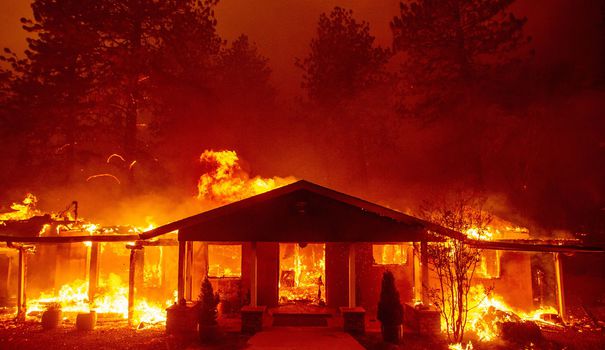 Incendies en Californie: pourquoi un bilan si lourd?