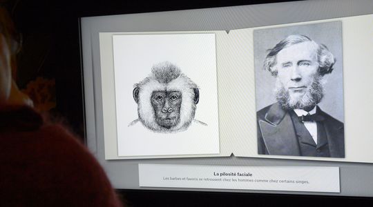 Pascal Picq : 'Dépasser Darwin', l'étrange évolution du professeur Raoult