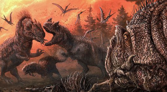 Une première preuve que les dinosaures 'stressés' pouvaient devenir cannibales