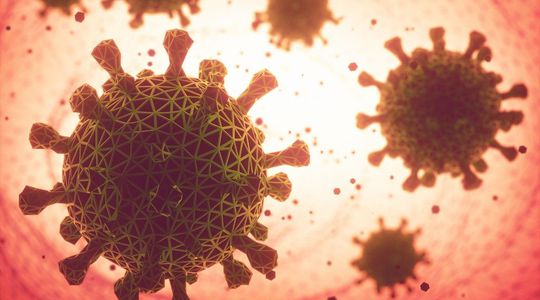 Covid-19 : une mutation aurait-elle rendu le virus plus contagieux mais moins virulent?
