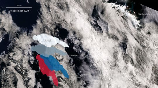 Séparé de l'Antarctique, le plus grand iceberg du monde menace de toucher la Géorgie du Sud