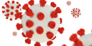 Variants, recombinants : le virus réserve-t-il encore beaucoup de surprises ?