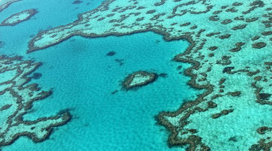 Les récifs coralliens sont-ils toujours résilients ?