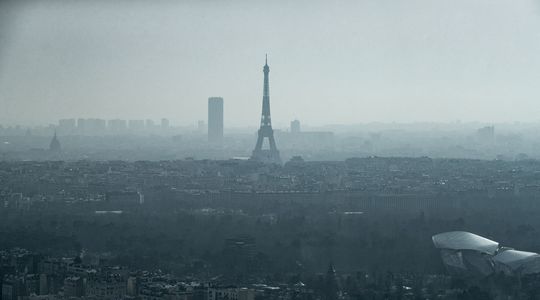 Pollution de l'air en Ile-de-France : 'On pourrait éviter 7 900 décès par an'