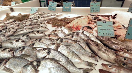 Surpêche : en consommant trois fois trop de poissons, les Européens pillent aussi les océans