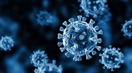 Le SHFV, cet autre virus issu du singe comparable au VIH : faut-il s'en inquiéter ?