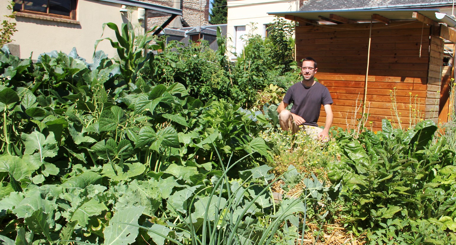 
    Exploit : dans son micro-jardin, Joseph produit 300 kilos de légumes  