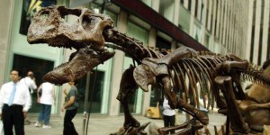 Russie : des paléontologues découvrent deux squelettes de dinosaures