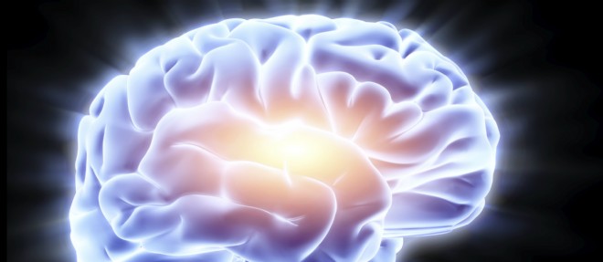 Réparer le cerveau abîmé de l'homme, bientôt possible ?