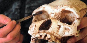 Une découverte prouve la présence de l'Homme moderne en Chine il y a 80 000 ans