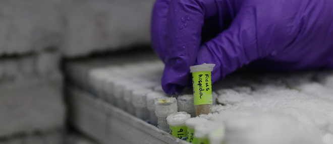 La France va créer 12 centres de séquençage du génome pour une 'médecine personnalisée'