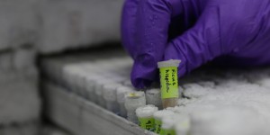 La France va créer 12 centres de séquençage du génome pour une 'médecine personnalisée'