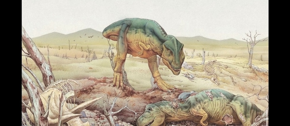 On sait (enfin) pourquoi les dinosaures ont disparu