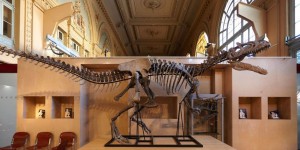 Un rare squelette de dinosaure bientôt vendu aux enchères