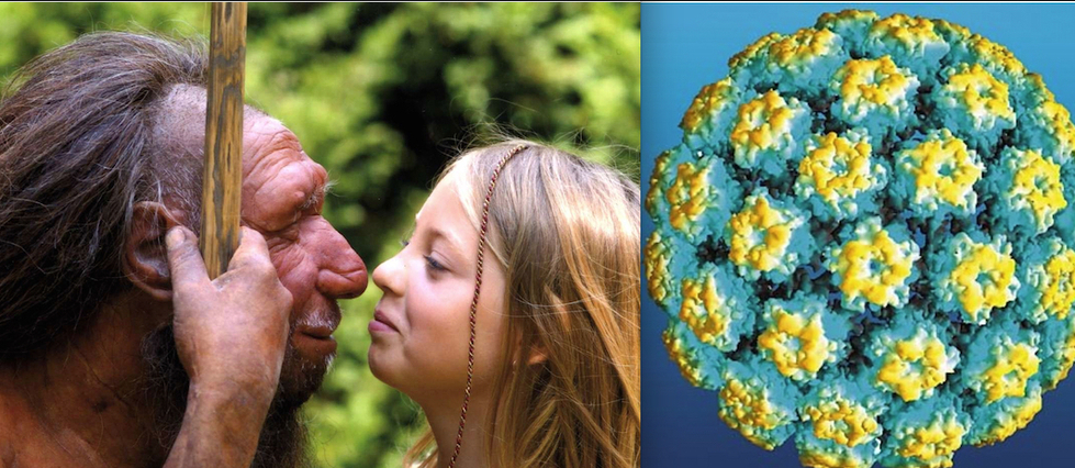 Le cancer du col de l'utérus serait un cadeau empoisonné de Néandertal