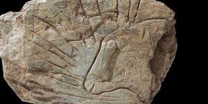Bretagne : découverte d'un trésor archéologique vieux de 14 000 ans