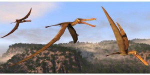 États-Unis : découverte d'une nouvelle espèce de ptérosaure