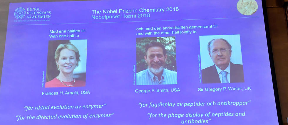 Le Nobel de chimie attribué à trois chercheurs pour leurs travaux sur l'évolution