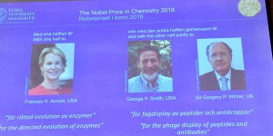 Le Nobel de chimie attribué à trois chercheurs pour leurs travaux sur l'évolution