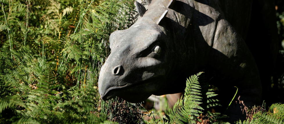 Écosse : en courant, une paléontologue butte sur un os de dinosaure