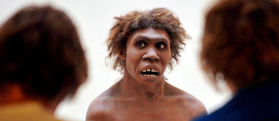 Face à Néandertal, Homo sapiens a été avantagé par des gènes de créativité