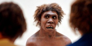 Face à Néandertal, Homo sapiens a été avantagé par des gènes de créativité