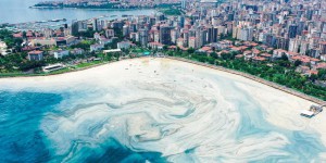 Écologie : la « morve de mer » menace Istanbul