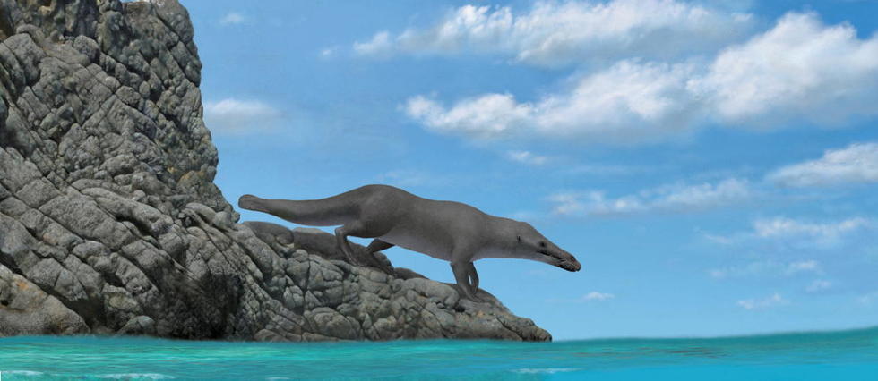 Une espèce préhistorique de baleine à quatre pattes découverte en Égypte
