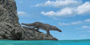 Une espèce préhistorique de baleine à quatre pattes découverte en Égypte
